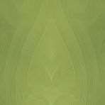 Image de SERVIETTE ELEGANCE DUNI LILY TILLEUL 40X40X240