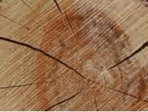 Image de SET PAPIER DUNI WOOD 30X40CM PAR 1000