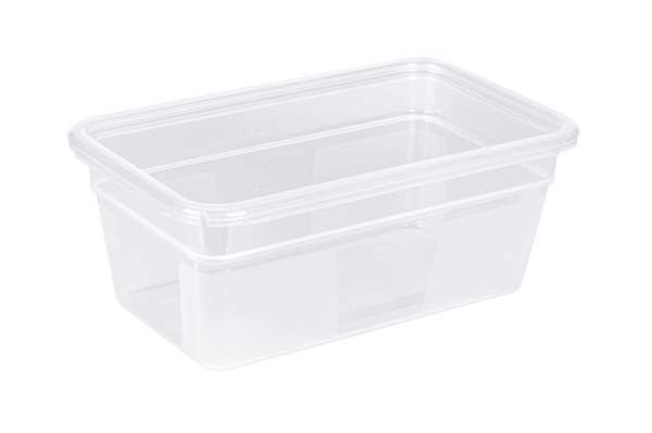 Image de BAC GASTRONORME MODULUS GN 1/4