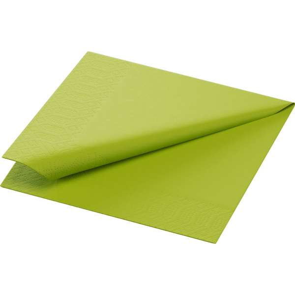 Image de SERVIETTE OUATE KIWI 2P 24X24CM X2400