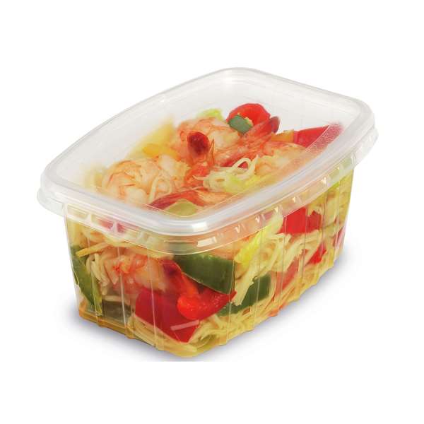 Image de BOITE PACK CHALEUR TRANSP+COUV(FTS138X98X36MM)300MLX25