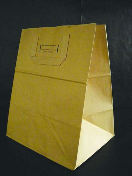 Image de SAC CABAS TRAITEUR KRAFT BRUN (FTS260X200X320MM) X250