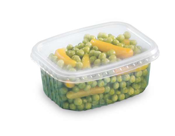 Image de BOITE PACK CHALEUR TRANSP+COUV(FTS190X135X32MM)600MLX25