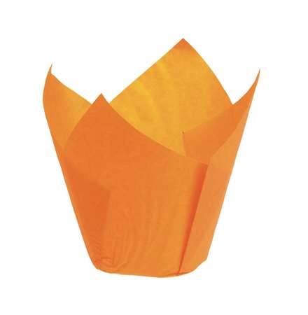 CAISETTE TULIPCUP ORANGEX200