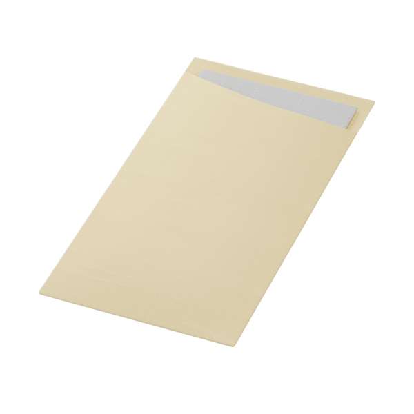 Image de SACCHETTO CREME SERVIETTE DUNISOFT BLANCHE 32X40CM X240