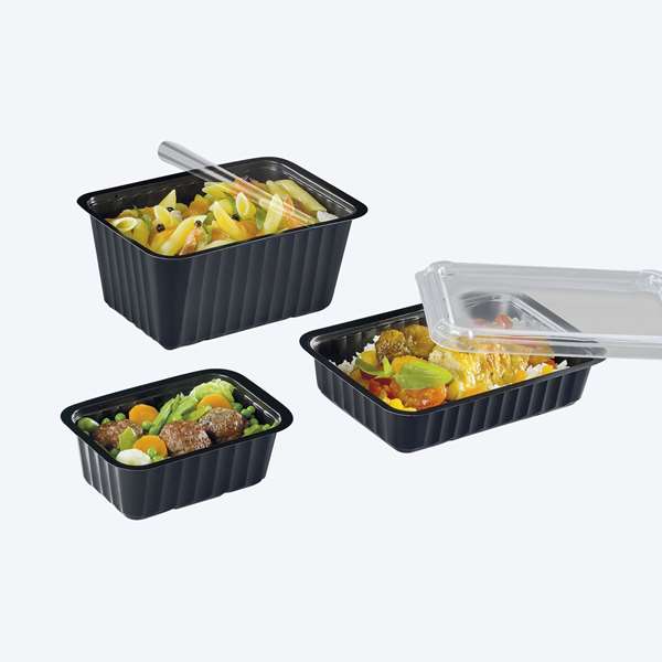 Image de BARQUETTE SCELLABLE NOIR ALPHACEL(FTS192X137X55MM)1000MLX900