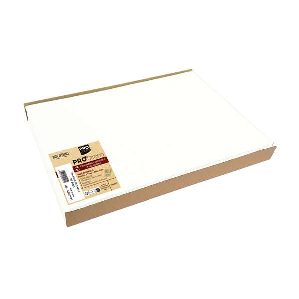 Image de SET DE TABLE SPUNBOND BLANC 30X40CM X500