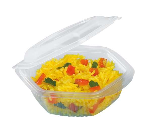 Image de BOITE TRANSP A CHARNIERE ALPHATOP (FTS126X128X52MM)250MLX600