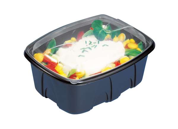 Image de BOITE ARCHIPACK NOIRE+COUVERCLE (FTS140X109X65MM) 375ML X480