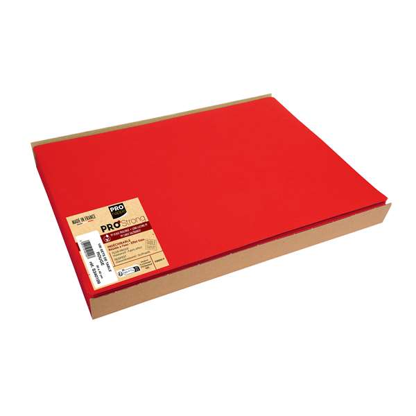 Image de SET DE TABLE SPUNBOND ROUGE 30X40CM X500