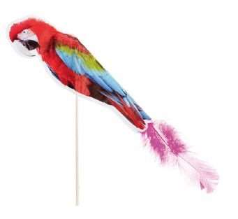 Image de DECOR DE GLACES PERROQUETS H.200MM X100