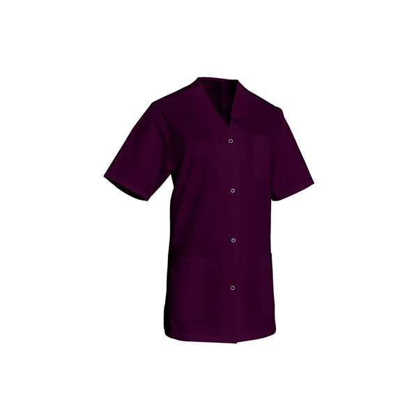 Image de TUNIQUE VIVIANE MANCHES COURTES PRUNE T1