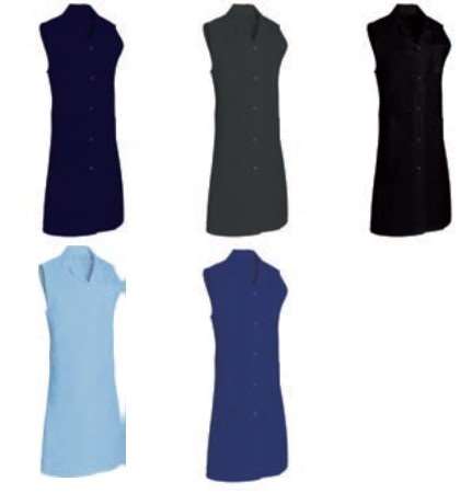 Image de BLOUSE MADONA SANS MANCHES BLANC-CIEL T5