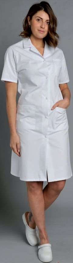 Image de BLOUSE MADONA MANCHES COURTES BLANC 100%COTON UNI 180GRS T0