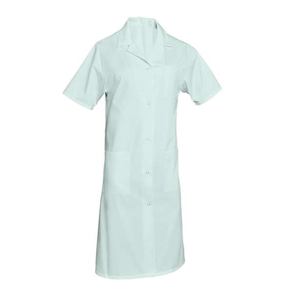 Image de BLOUSE MADONA MANCHES COURTES VERT NIL T0