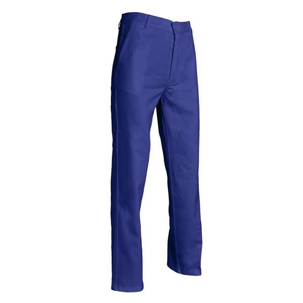 Image de PANTALON WORKWEAR PEINTRE ADRIEN BLEU BUGATTI T48