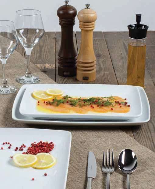 Image de ASSIETTE RECTANGLE 'CARPACCIO' (LONG.250XLARG.180MM)