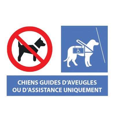 Image de PANCARTE ADHESIVE 'CHIEN INTERDIT SAUF CHIEN GUIDE' (30X20CM