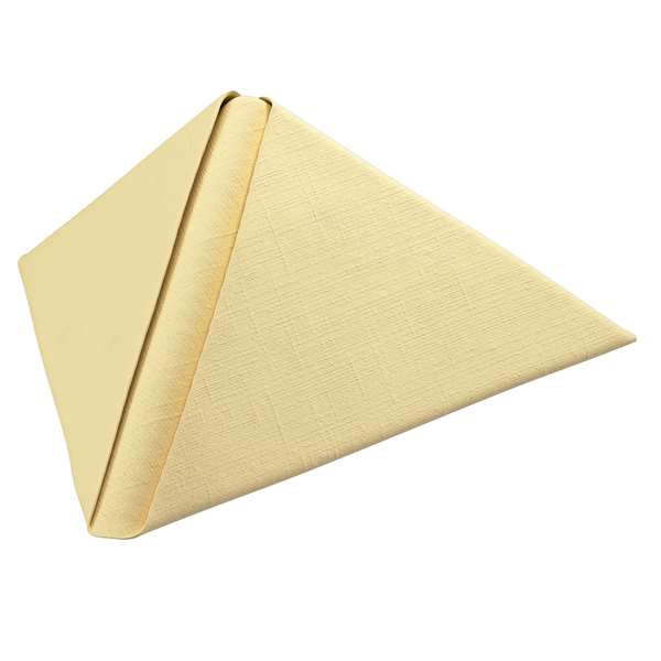Image de SERVIETTE DUNILIN CREME 40X40CM X540