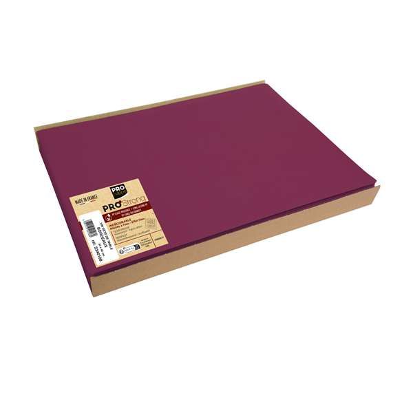 Image de SET DE TABLE SPUNBOND BORDEAUX 30X40CM X500
