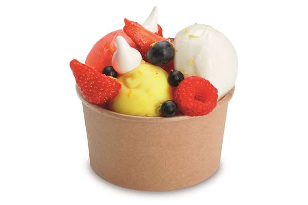 Image de POT A DESSERT CARTON BRUN POKEPACK (DIAM.95 H.52MM) 250MLX50