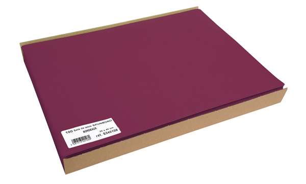 Image de SET DE TABLE SPUNBOND VERT D'EAU 30X40CM PAR 500