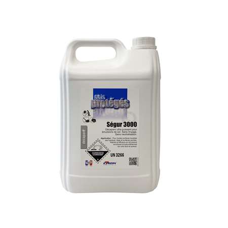 SEGUR 3000 DECAPANT SOL ULTRA PUISSANT SANS RINCAGE 5L