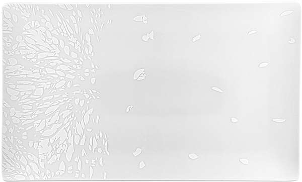 Image de AGRUME ASSIETTE RECT 34.5X21