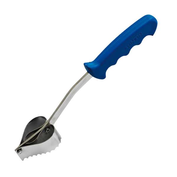 Image de ECAILLEUR POISSON INOX GM 310