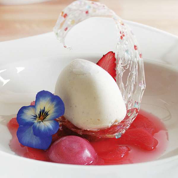 Image de FLEXIPAN 600X400 QUENELLE60X25