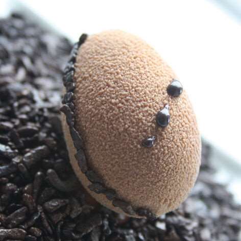 Image de FLEXIPAN 60X40 DEMI OEUF 55X35