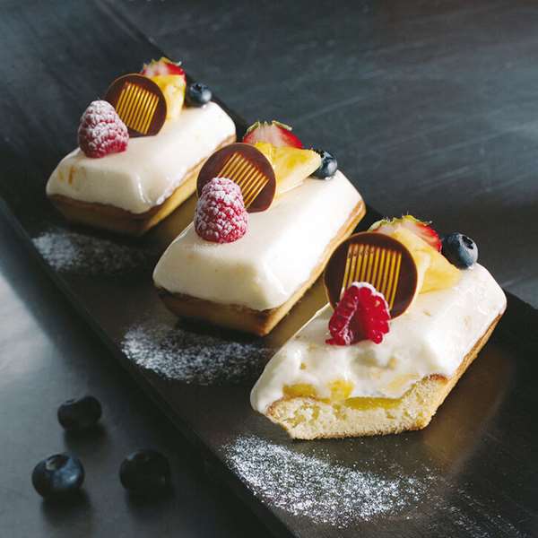 Image de FLEXIPAN 60X40 FINANC 87X47X14