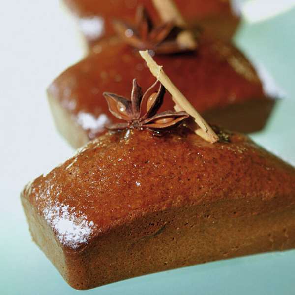 Image de FLEXIPAN 60X40 LINGOTS 102X58