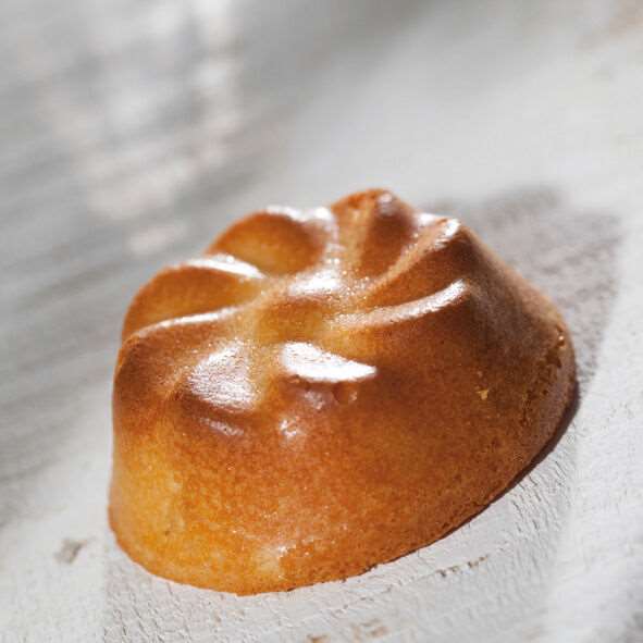 Image de FLEXIPAN 60X40MARGUERITES D.70