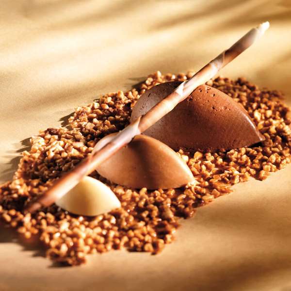 Image de FLEXIPAN GN1/1 GRANDE QUENELLE