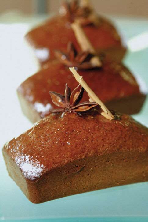 Image de FLEXIPAN GN1/1 LINGOT