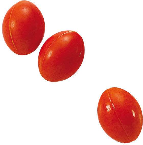 Image de MOULE 45 MINI BALLON RUGBY