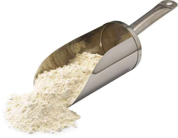 Image de PELLE A FARINE  INOX  L.425 MM