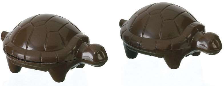 Image de PLAQ. 2 TORTUE 118X80MM S/BPA