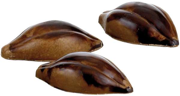 Image de PLAQUE 3X8 CABOSSES47,5X26X14²