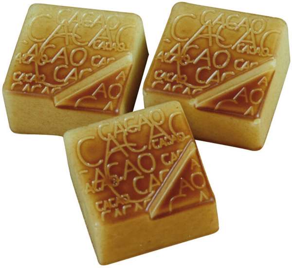 Image de PLAQUE 3X8 PRALINE CARRE CACAO