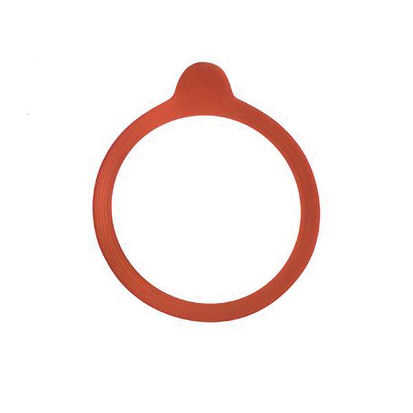 Image de WECK SACHET 10 JOINTS D100