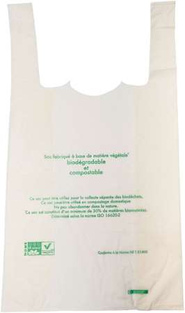 SAC CABAS BIOPLAST (FTS300X70X540MM) X1000