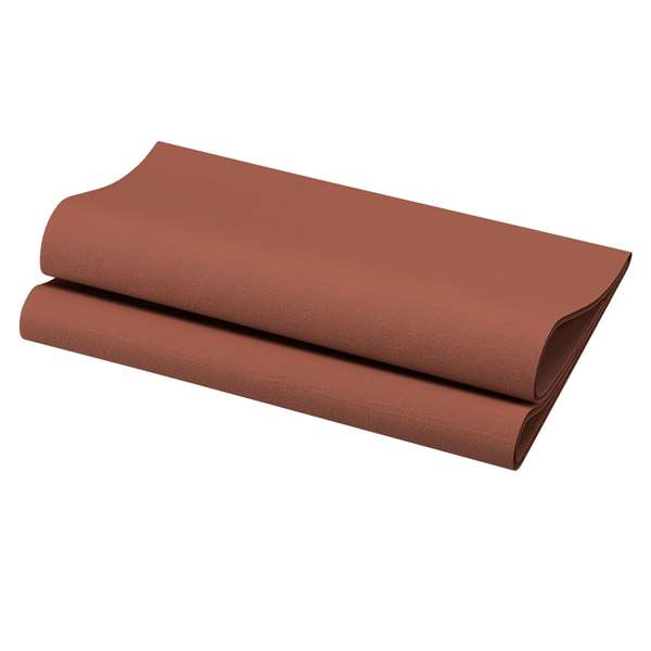 Image de SERVIETTE BIO-DUNISOFT NOISETTE 40X40CM X360