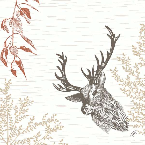 Image de SERVIETTE BIO-DUNISOFT WOOD & DEER 40X40CM X360