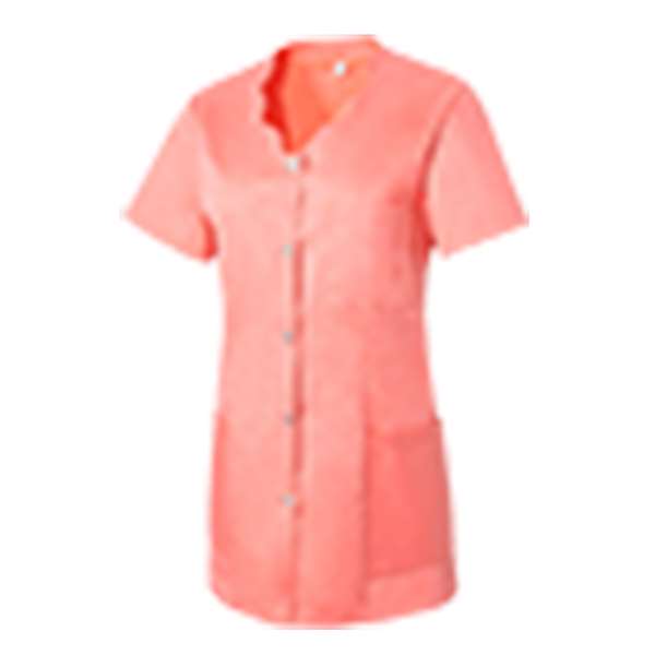 Image de TUNIQUE ADELAIDE MANCHES COURTES LITCHI T2