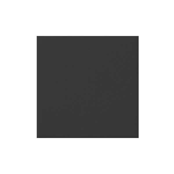 Image de SERVIETTE AIRLAID BIO LEAF NOIRE 40X40CM X1000