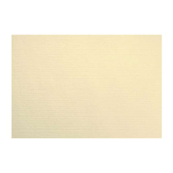 Image de SET EVOLIN CREME 30X43,5CM X350