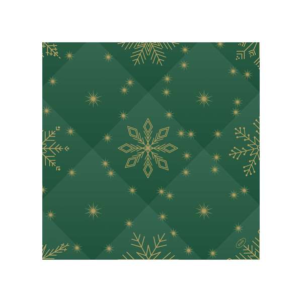 Image de SERVIETTE BIO-DUNISOFT RHOMBUS VERT 40X40CM X360