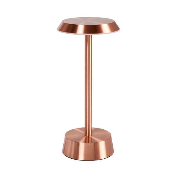 Image de LAMPE LED SANS FIL 118X260MM NOUR OR ROSE X6